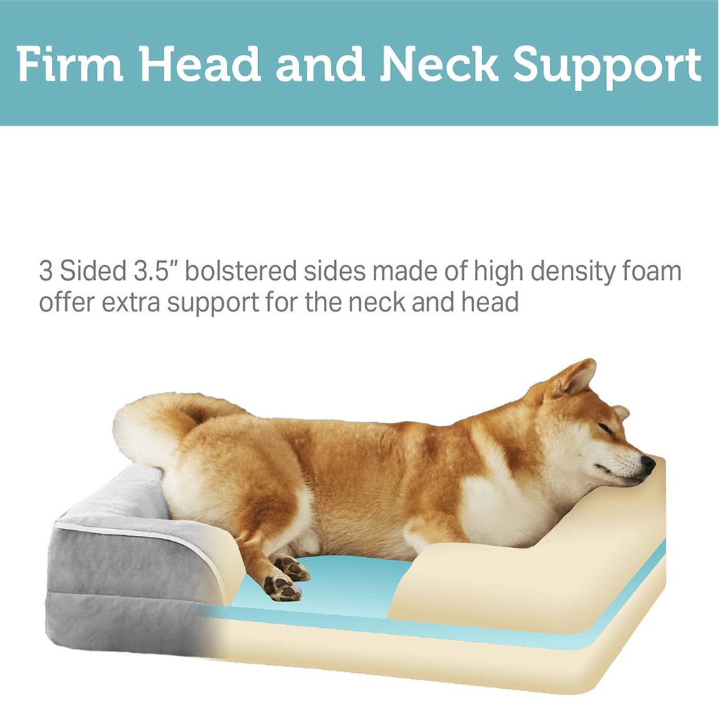 Friends forever shop orthopedic dog bed