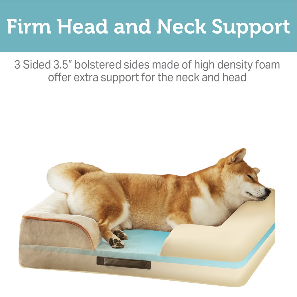 Forever friends clearance dog beds